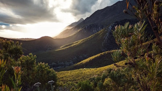 Swellendam Mountains in Nature