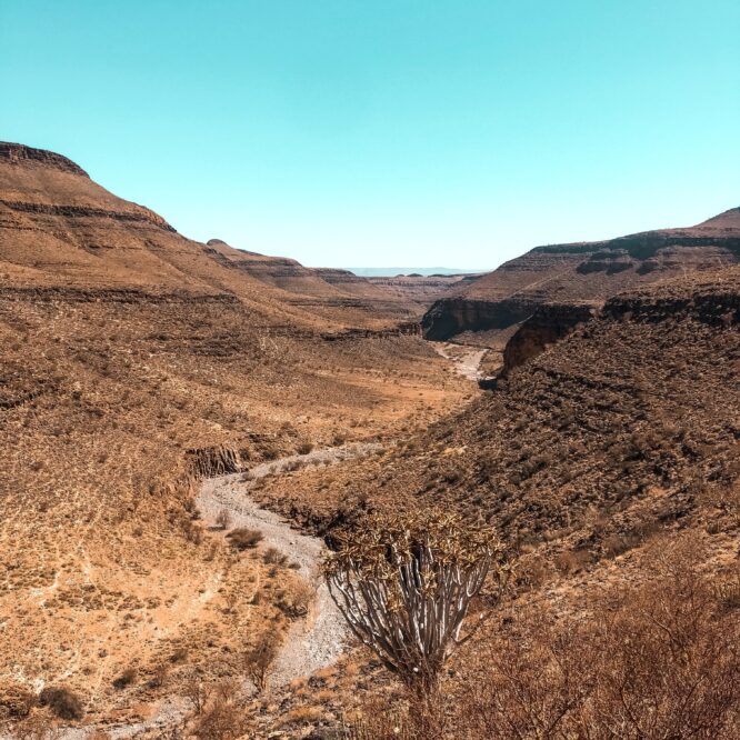 Graded Road in Namibia